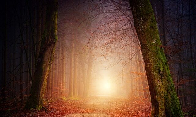 Jaki kolor kuchni Najpraktyczniejszy?