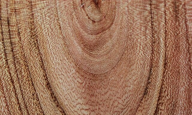 Jaka firma meblowa najlepsza?