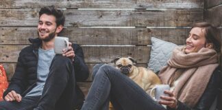 Ile razy w ciągu dnia powinien jeść pies?