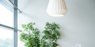 Czy IKEA wnosi meble?