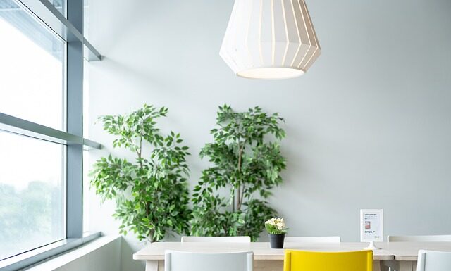 Czy IKEA wnosi meble?