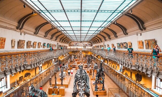 Ile pieniędzy ma właściciel Dino?