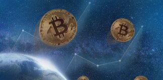 Na jakim portfelu trzymać kryptowaluty?