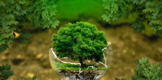 Czy program Eco w pralce jest oszczędny?