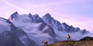Czy Trekking to sport?