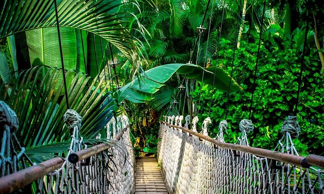 Czy warto robić kurs barmana?