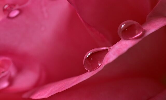 Czym zabezpieczyć dom przed wilgocią?