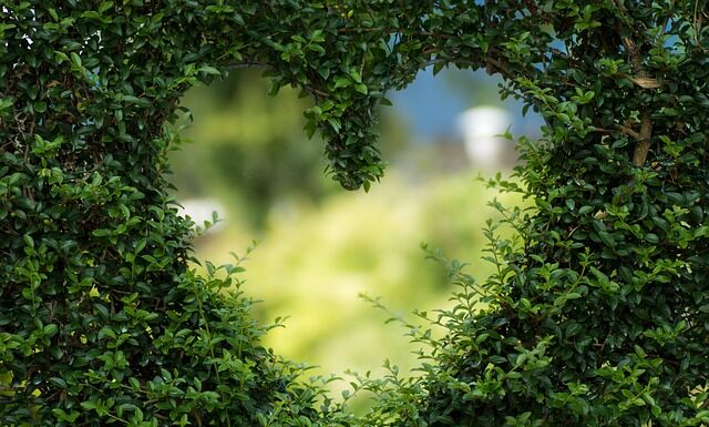 Co to jest serce komputera?